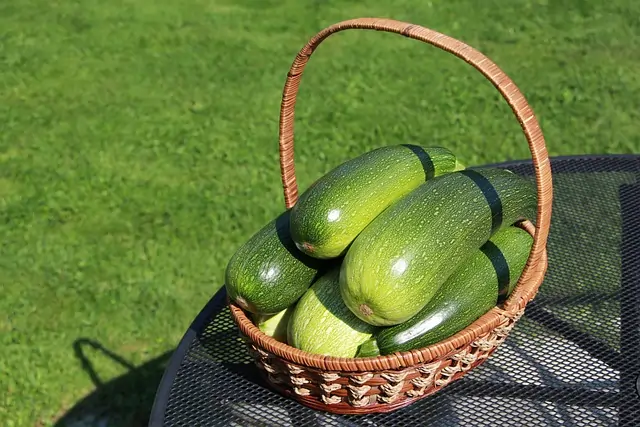 kesäkurpitsa resepti